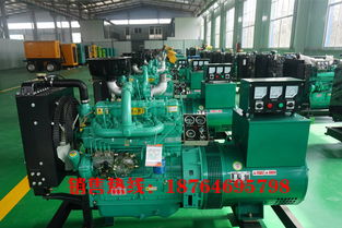 臨沂養殖場高效節能方案 40千瓦濰坊柴油發電機組，打造綠色動力新標桿